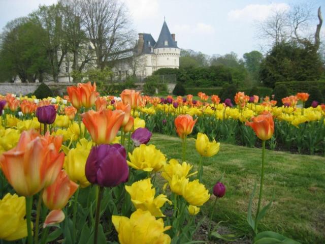 Le Refuge De Normandie Avec Spa Et Cheminee Mesnieres-en-Bray 외부 사진